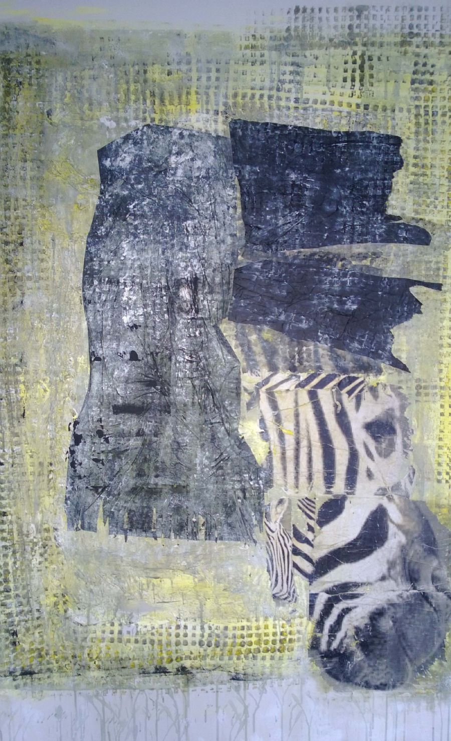 Gul Zebra 2013