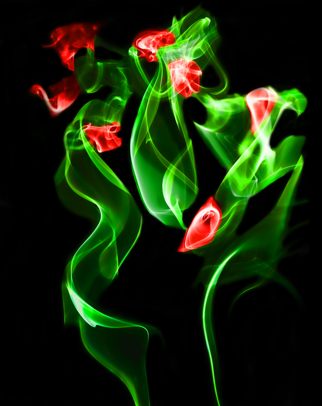 Roses