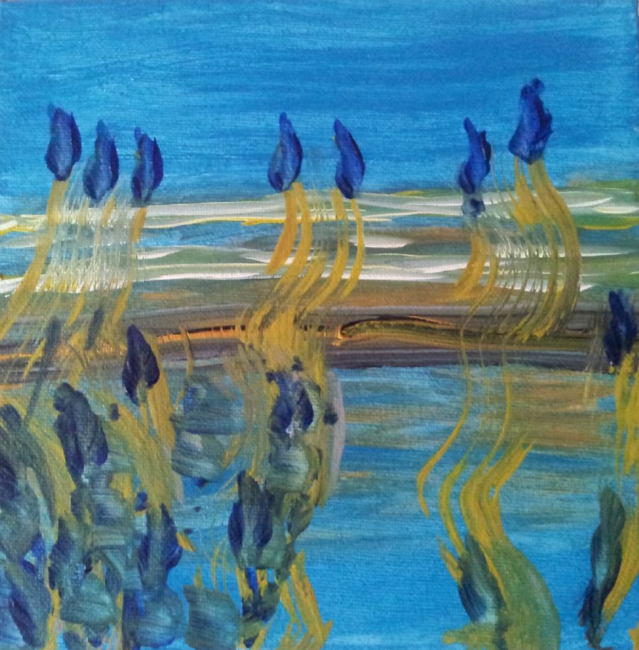 Havet
