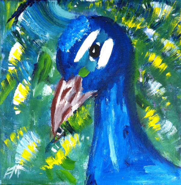 Peacock