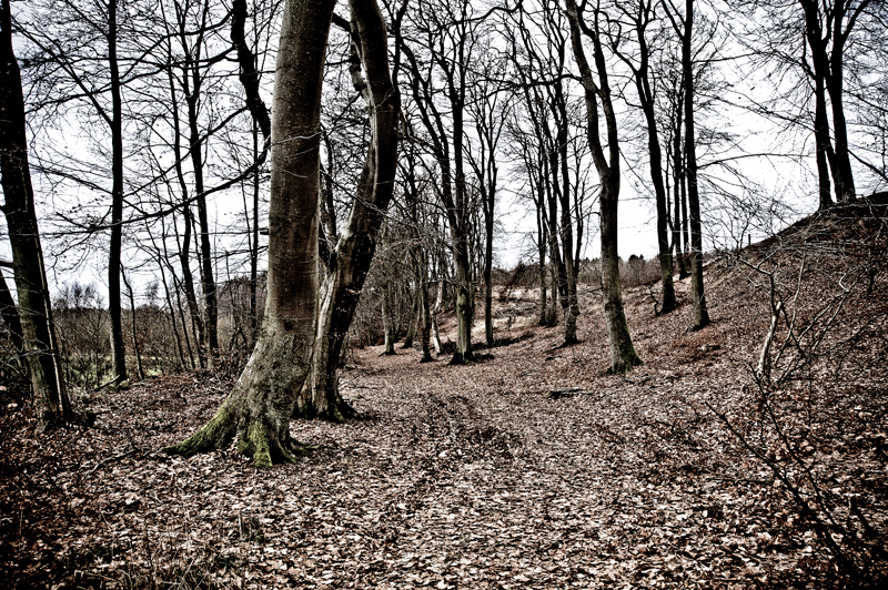 Wild trail