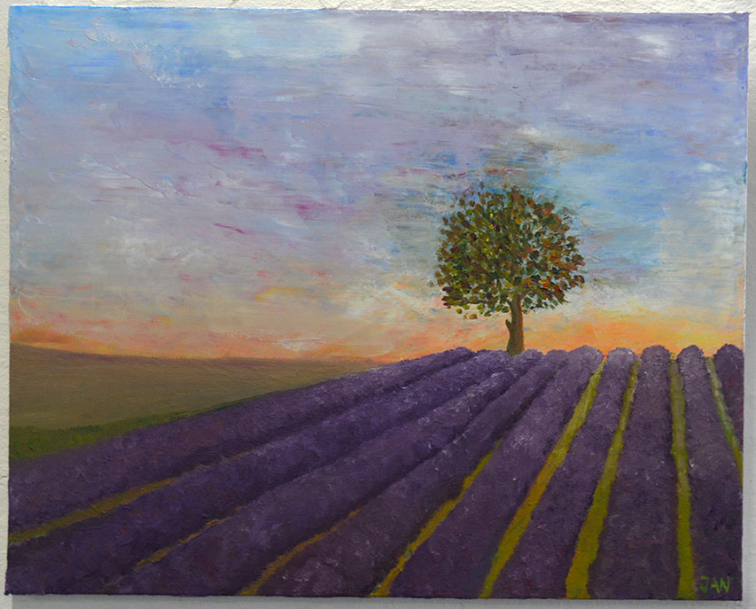 Lavendler i Provence