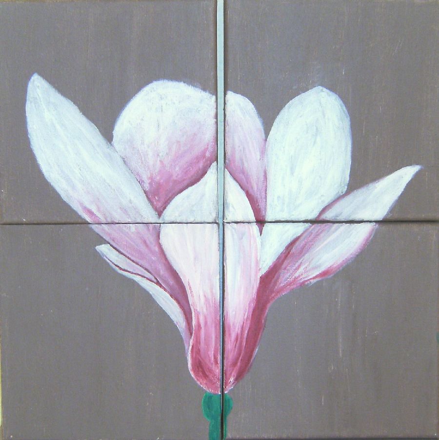 Magnolia à 4