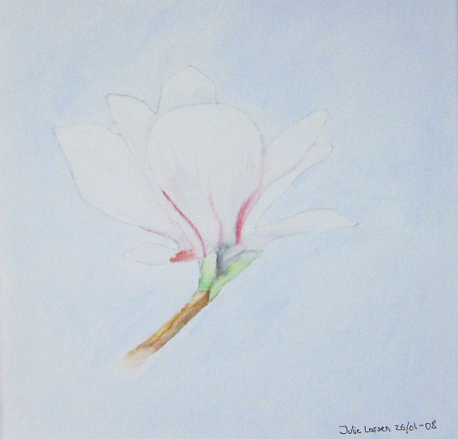 1 grenet magnolia
