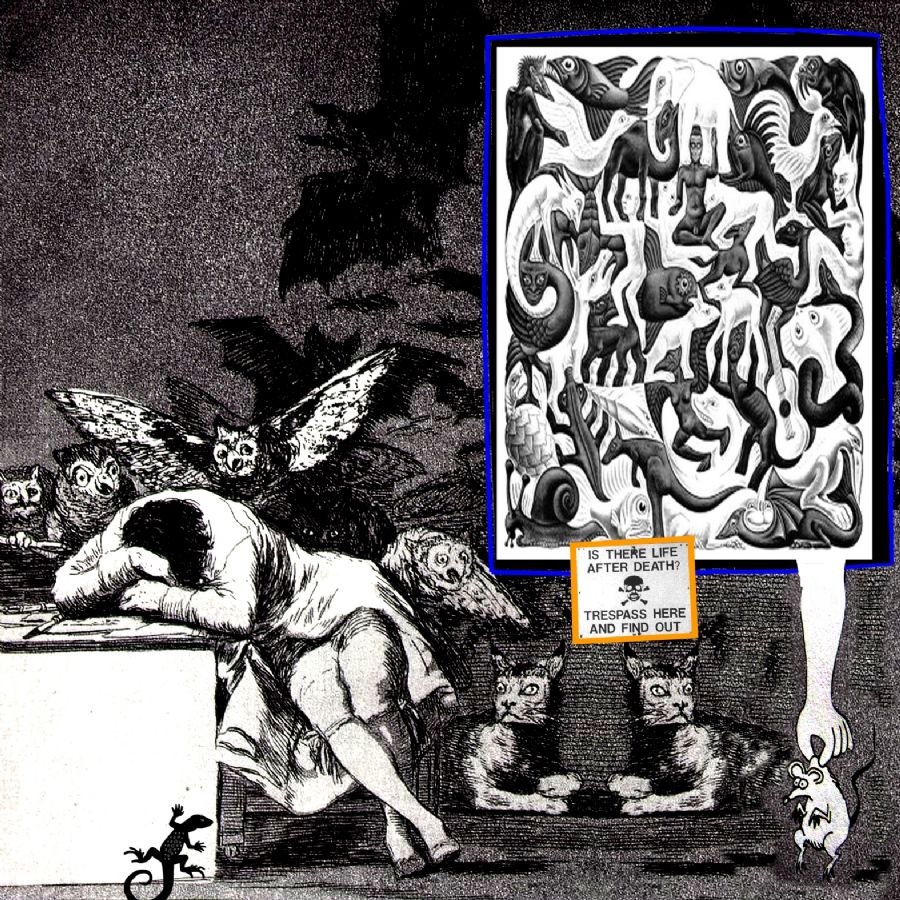 Goyas nightmare