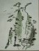 Chines Tree