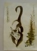 Hunting Cat