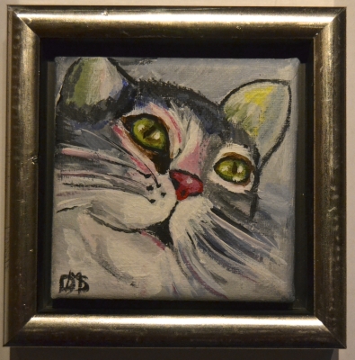 Cat 3