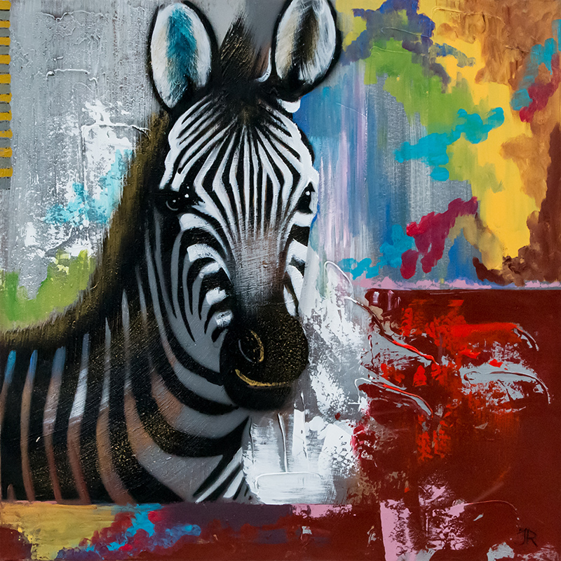 Zebra dream