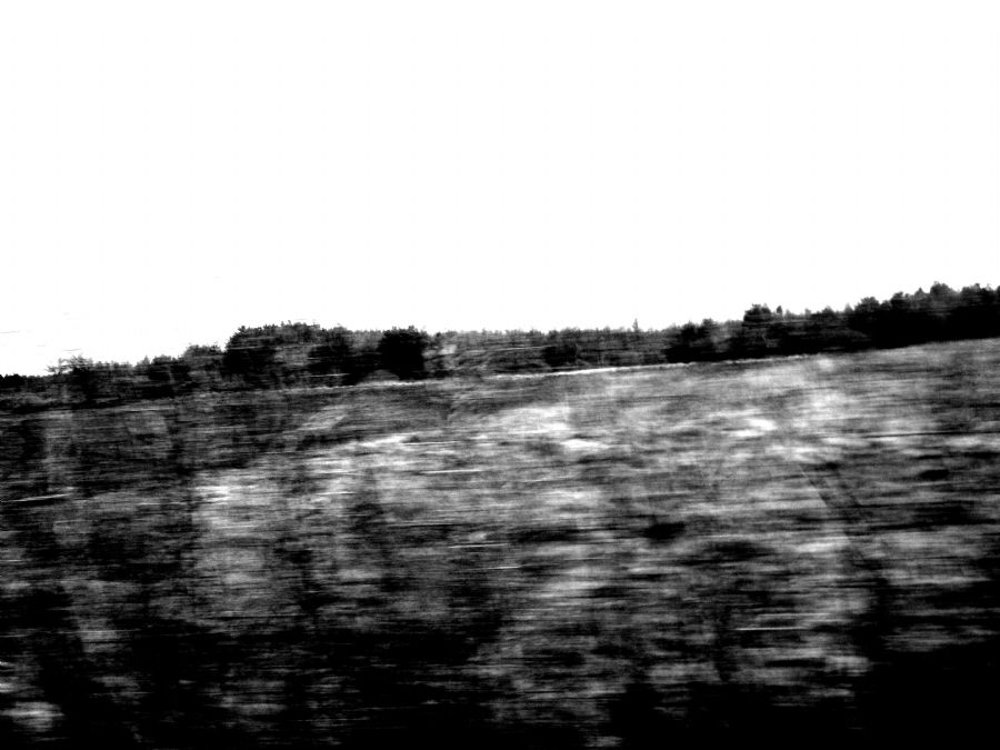 On the run