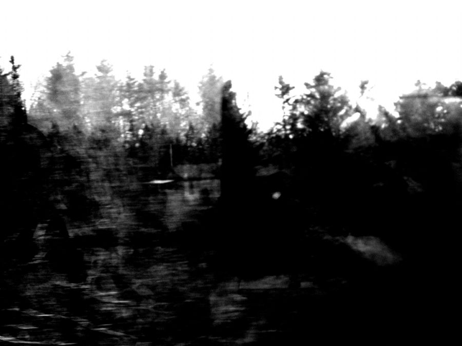 On the run