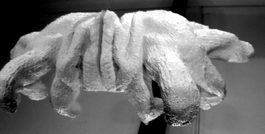 Glove 3