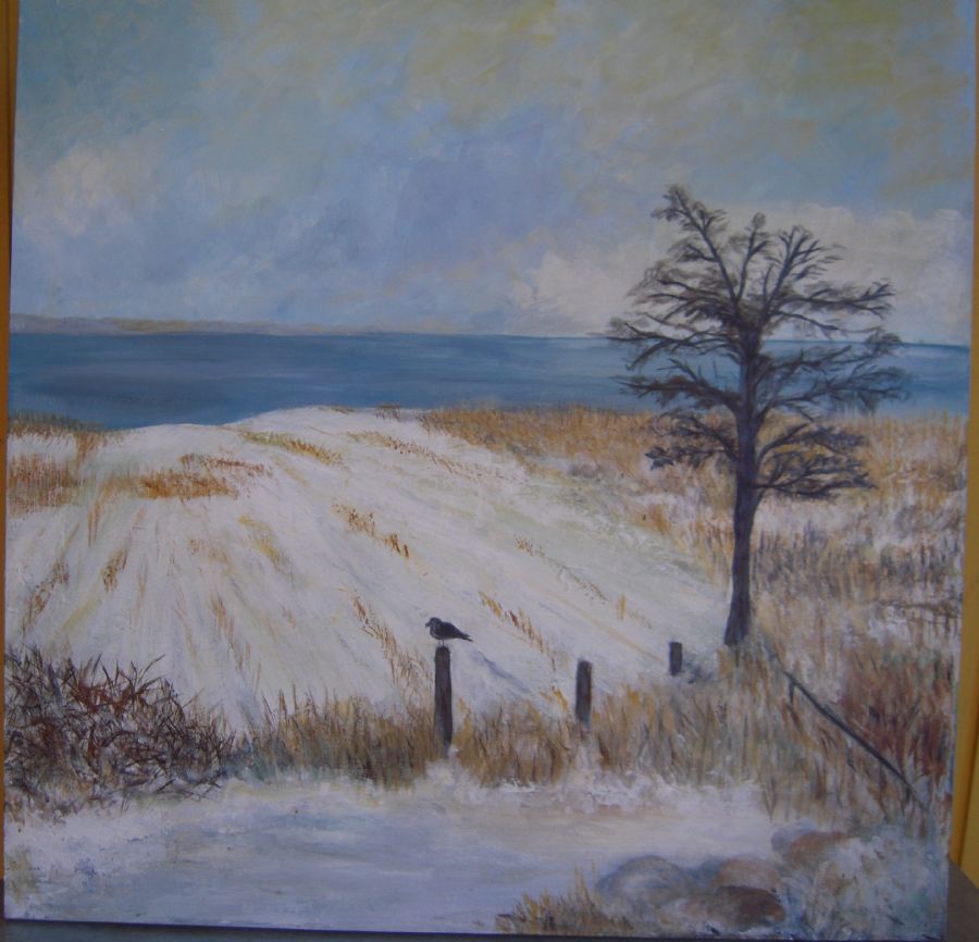 Omkring Arresø