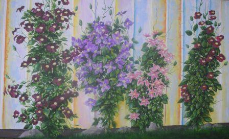 Blomstrende Klematisser