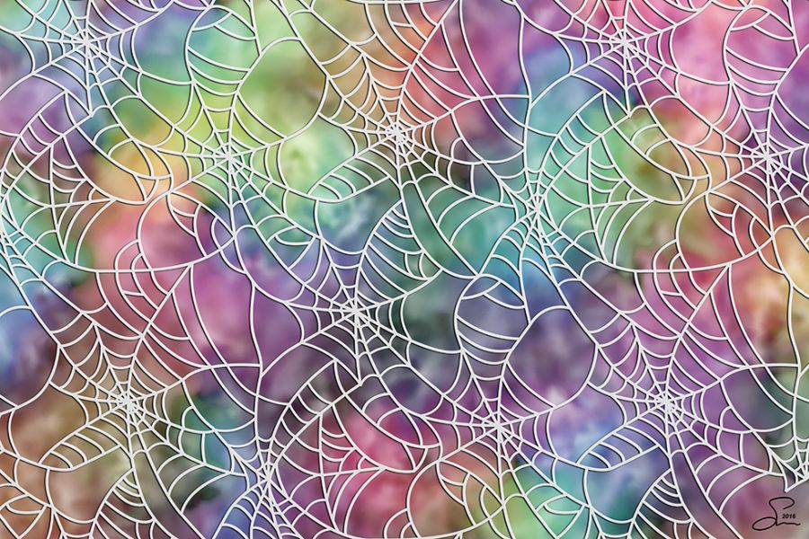Spider on crack