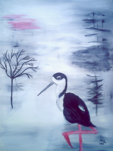 Sort stork