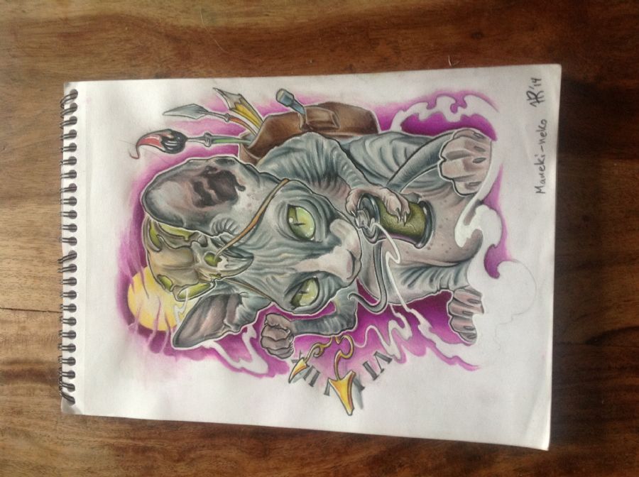 Spinx cat