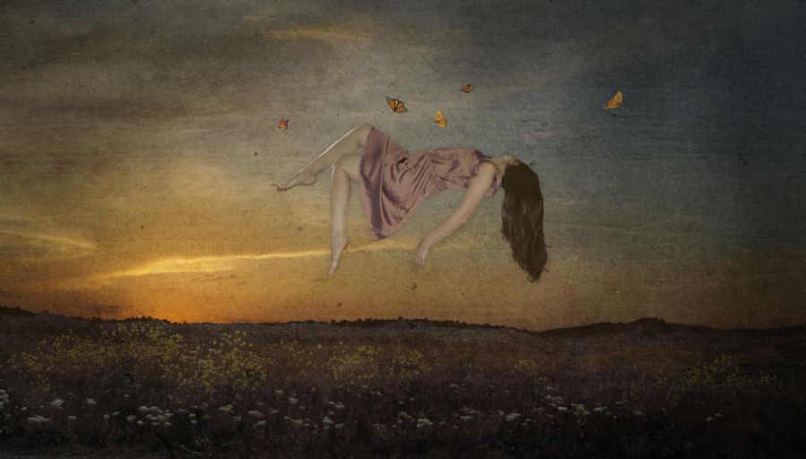The Butterfly Effect
