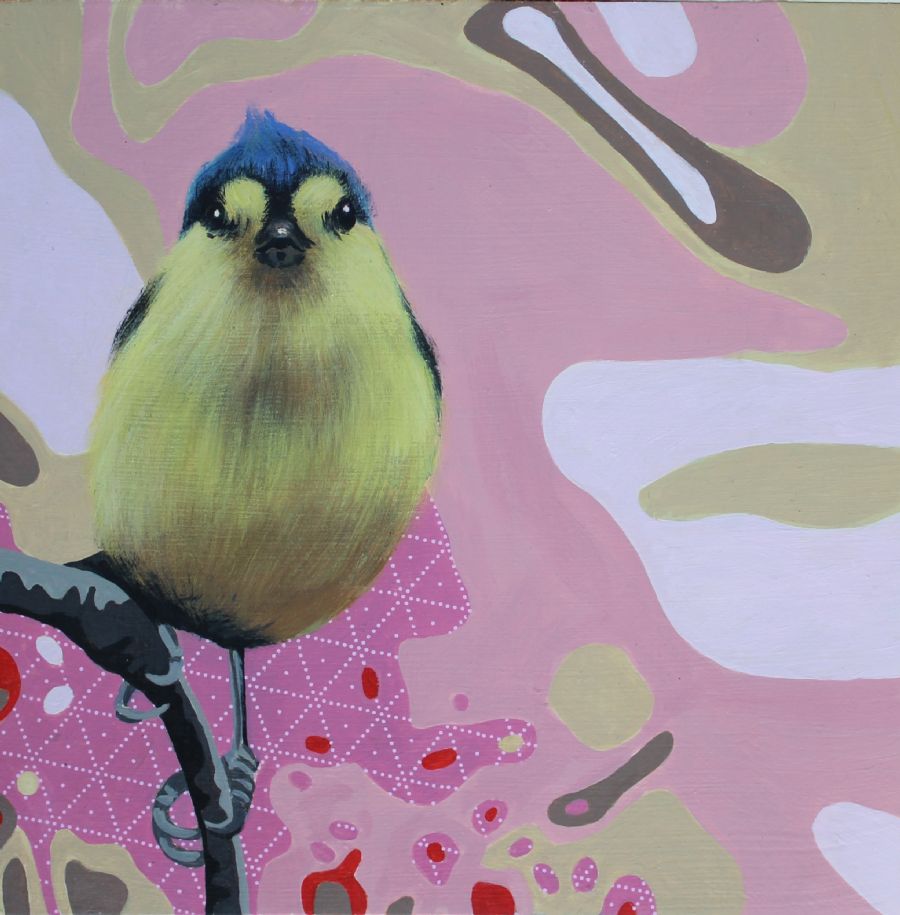little-bird