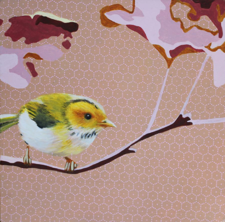 little-bird