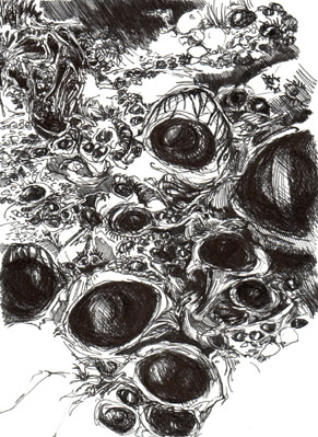 Glosuppe, nr. 1