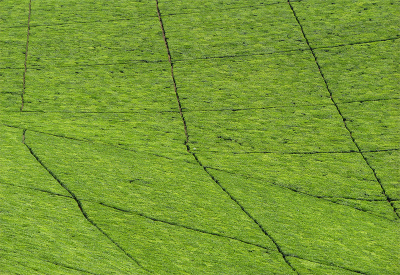 Squares