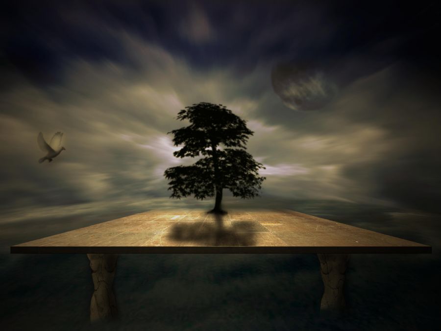 Ark of  island
