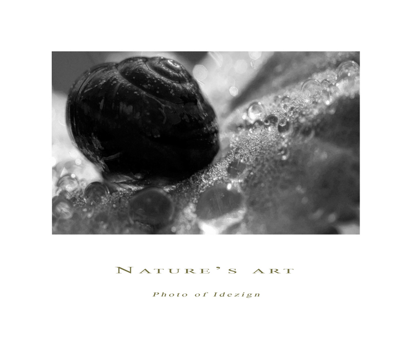 Photoart 12