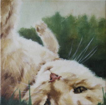 rød kat