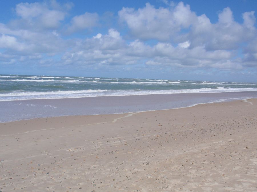 Havet