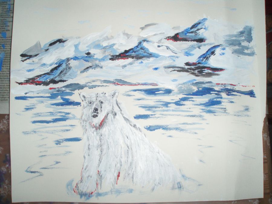 Isbjørn