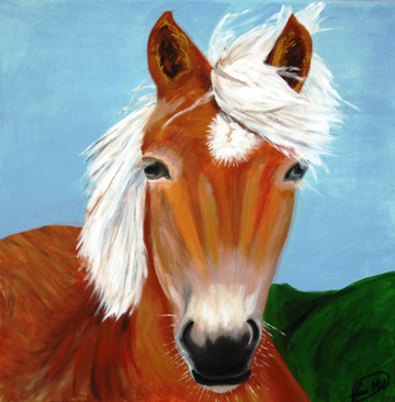 Pony