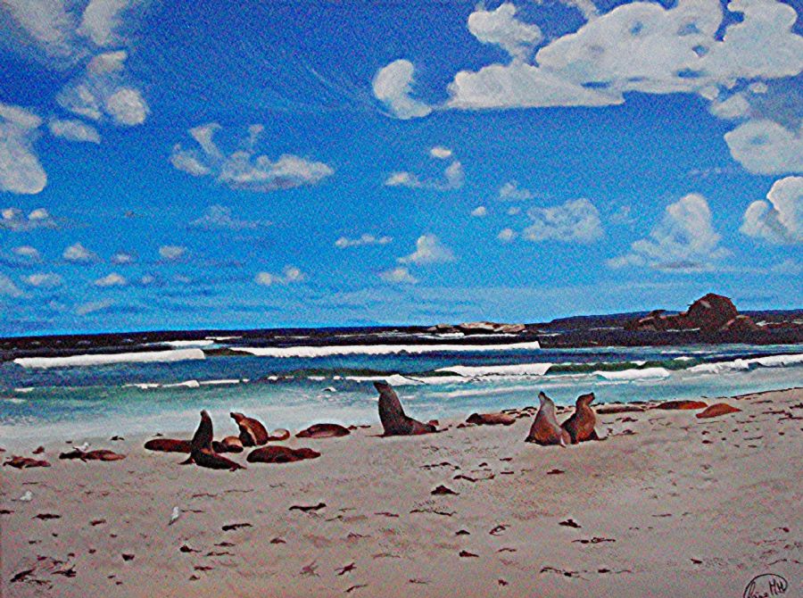 Seal Bay