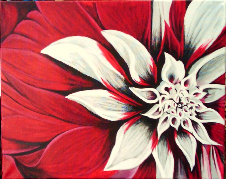 Red Dahlia