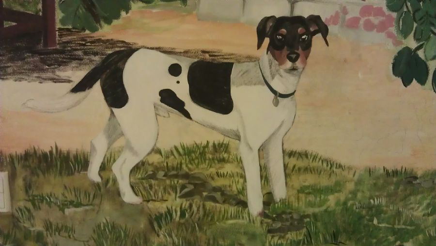 Gårdhund