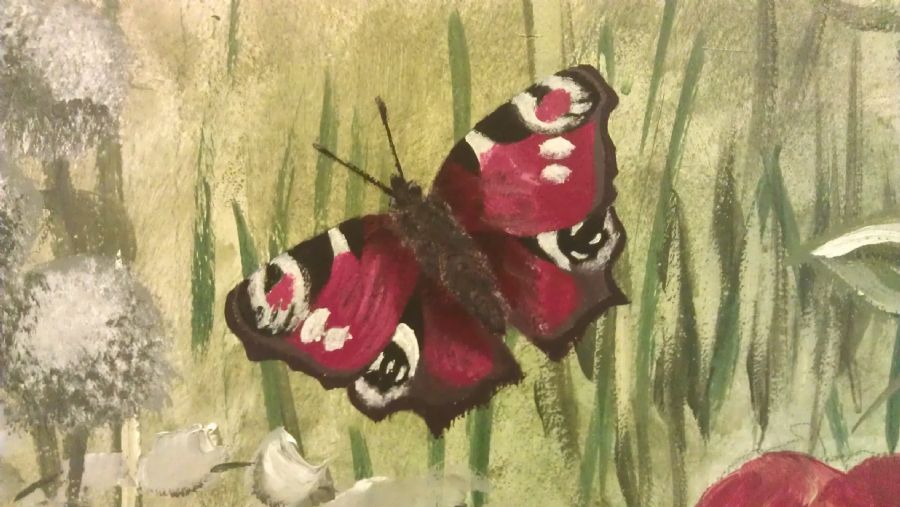 Butterfly