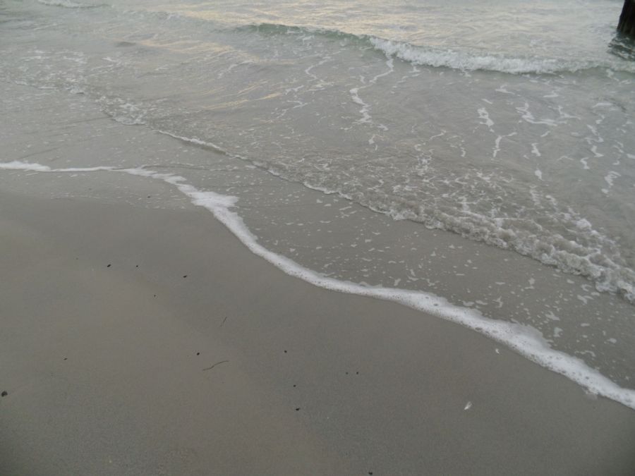 miss you