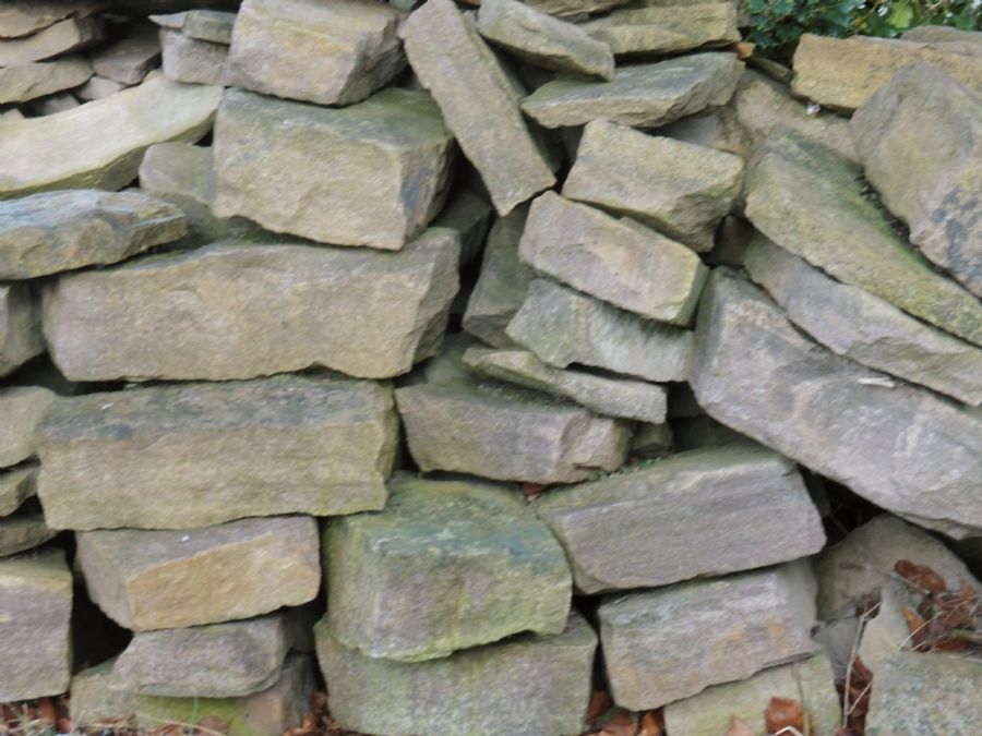 rocks