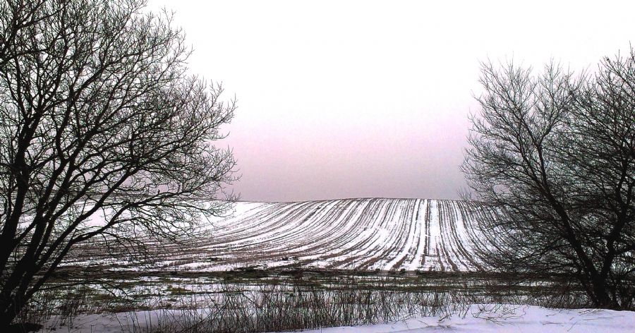 Søholtvej/Vendsyssel