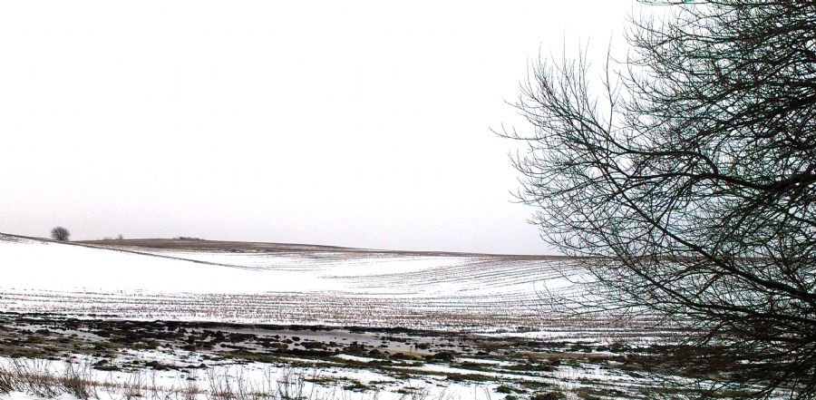 Søholtvej/Vendsyssel