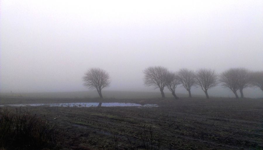 Trangetvej/Vendsyssel