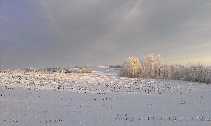 Glimsholtvej/Vendsyssel