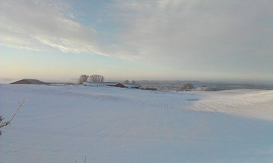 Glimsholtvej/Vendsyssel