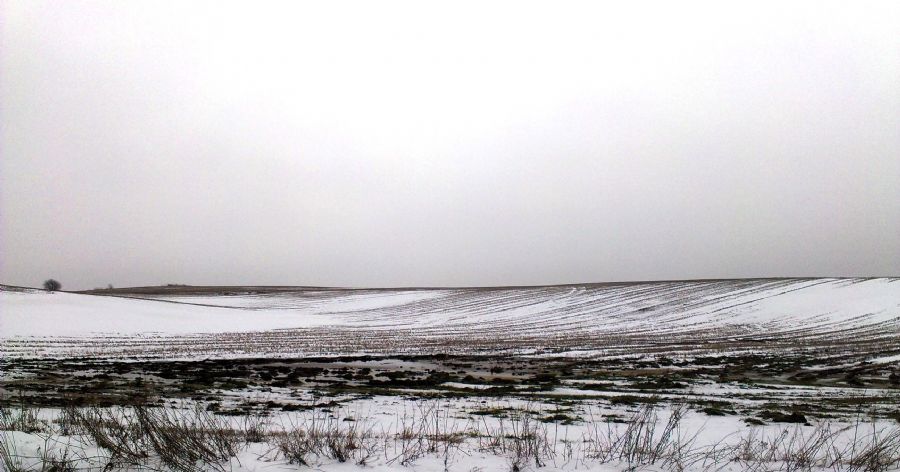 Søholtvej/Vendsyssel