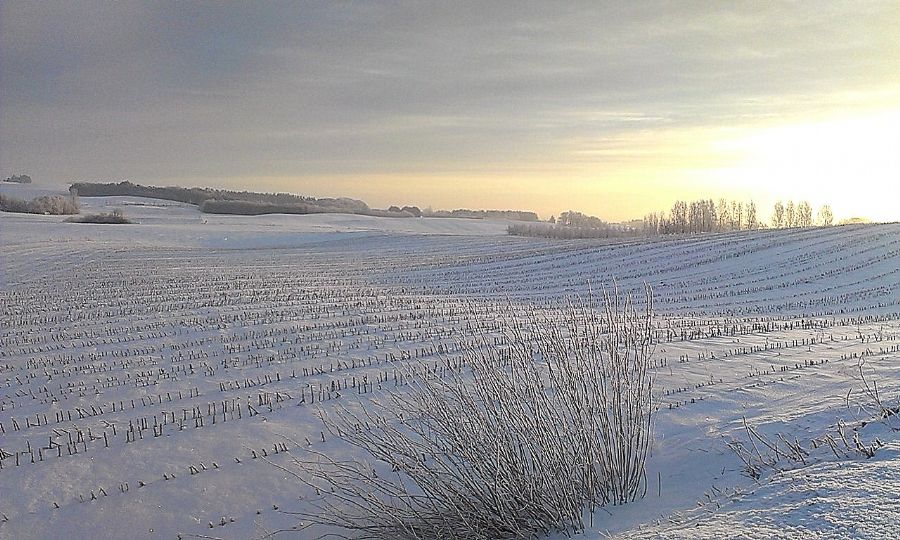 Glimsholtvej/Vendsyssel