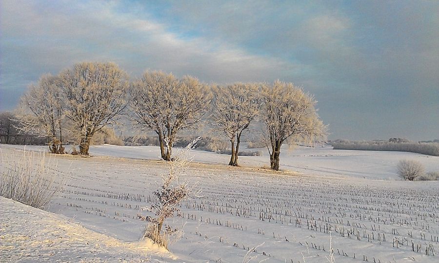 Glimsholtvej/Vendsyssel