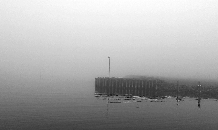 Skudehavnen