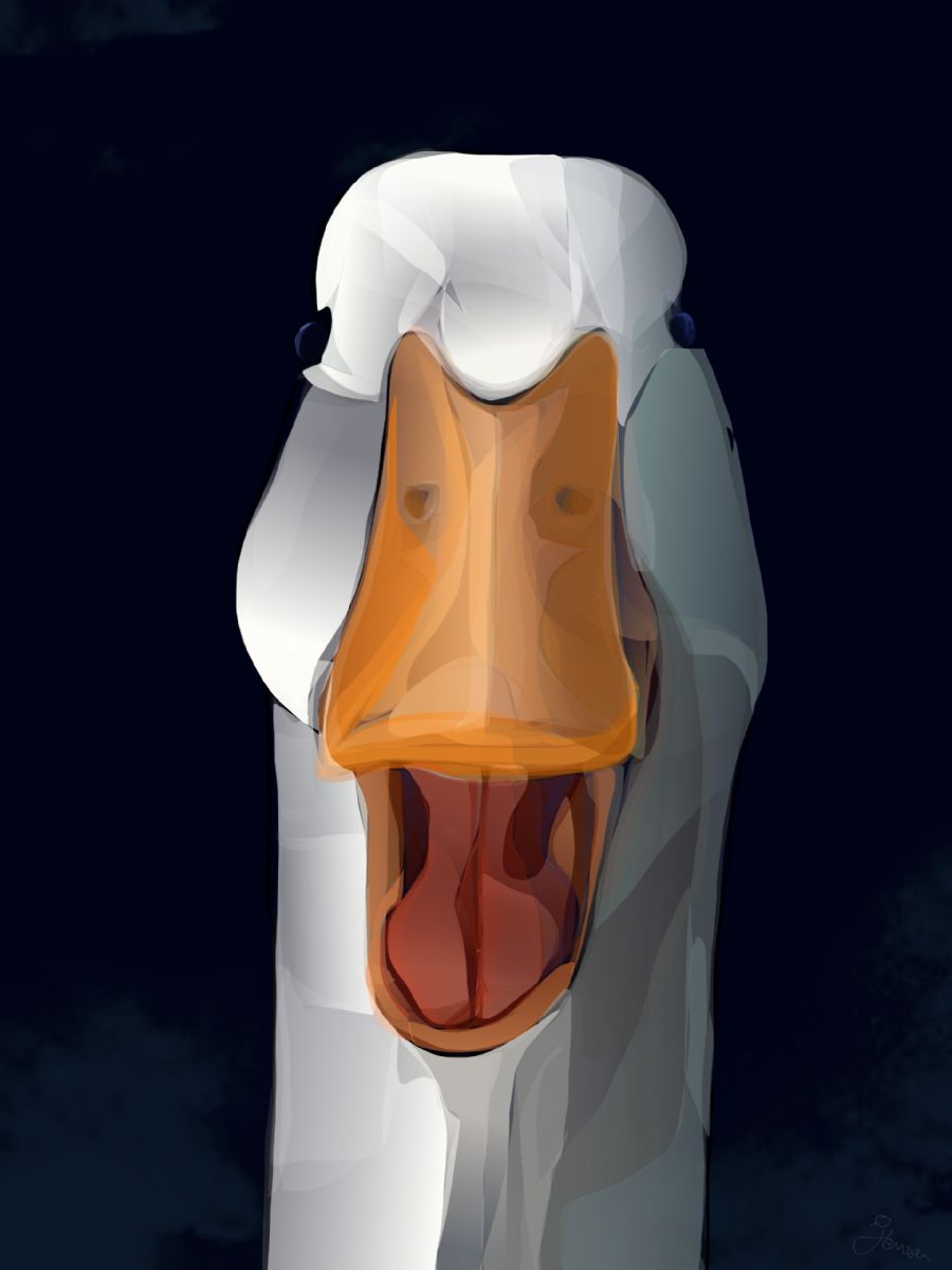 What's up, Duck? - tegnet på iPad