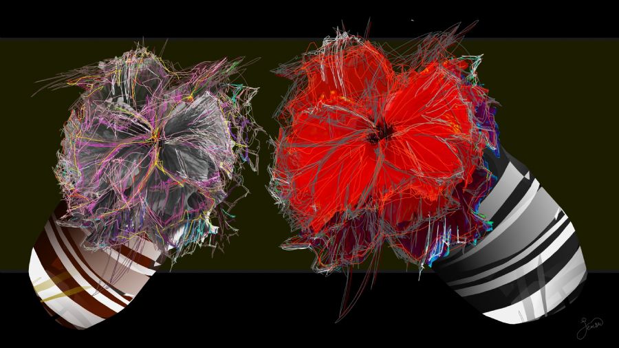 Anemoner til havfruen