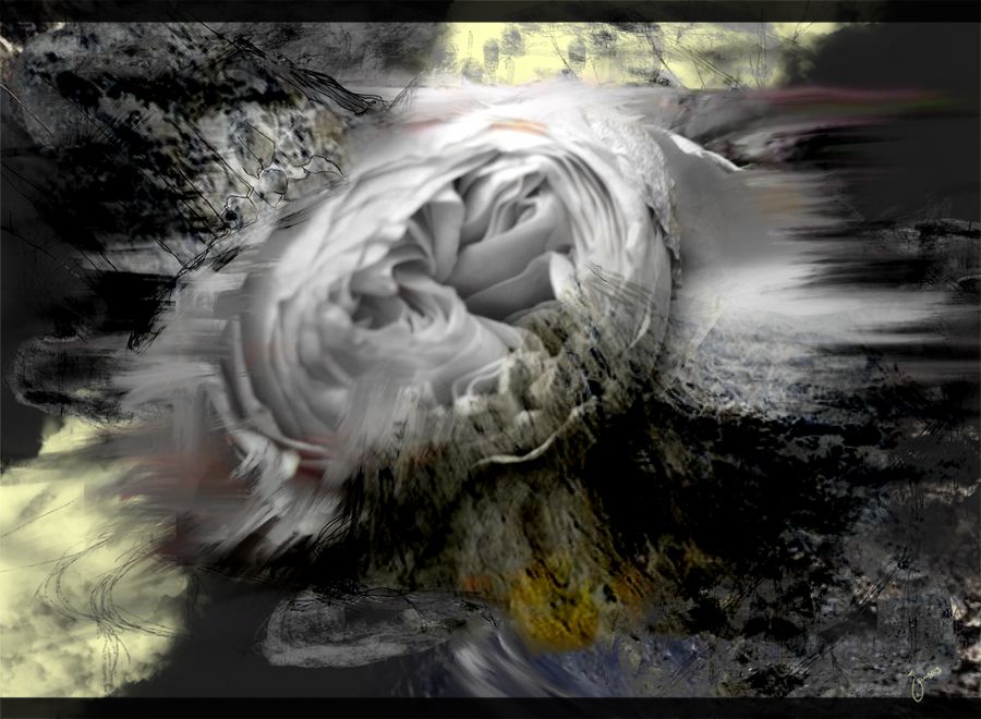 Fifty Shades of Decay 33.0